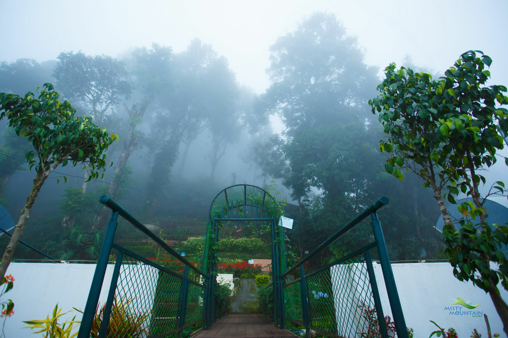 Misty Mountain Resort Munnar Esterno foto