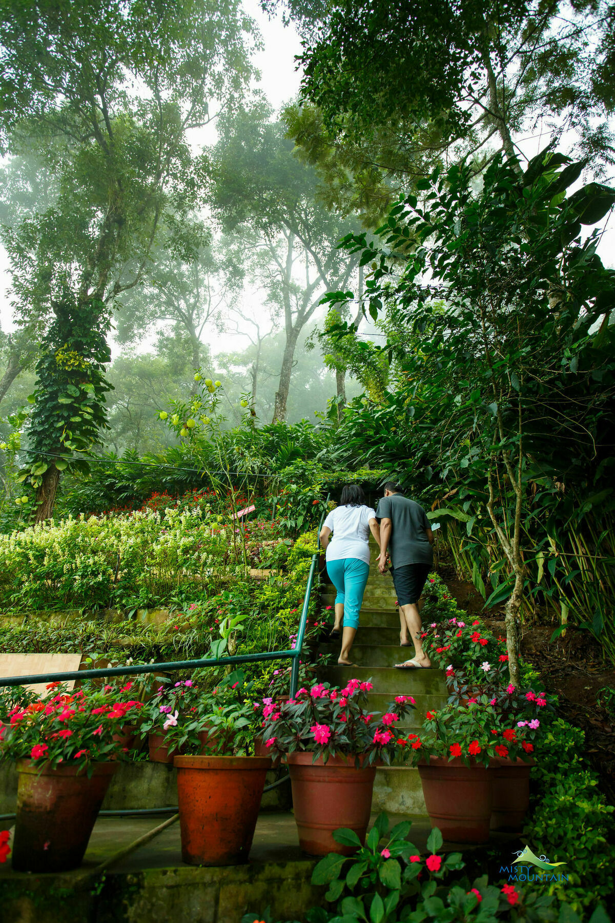 Misty Mountain Resort Munnar Esterno foto