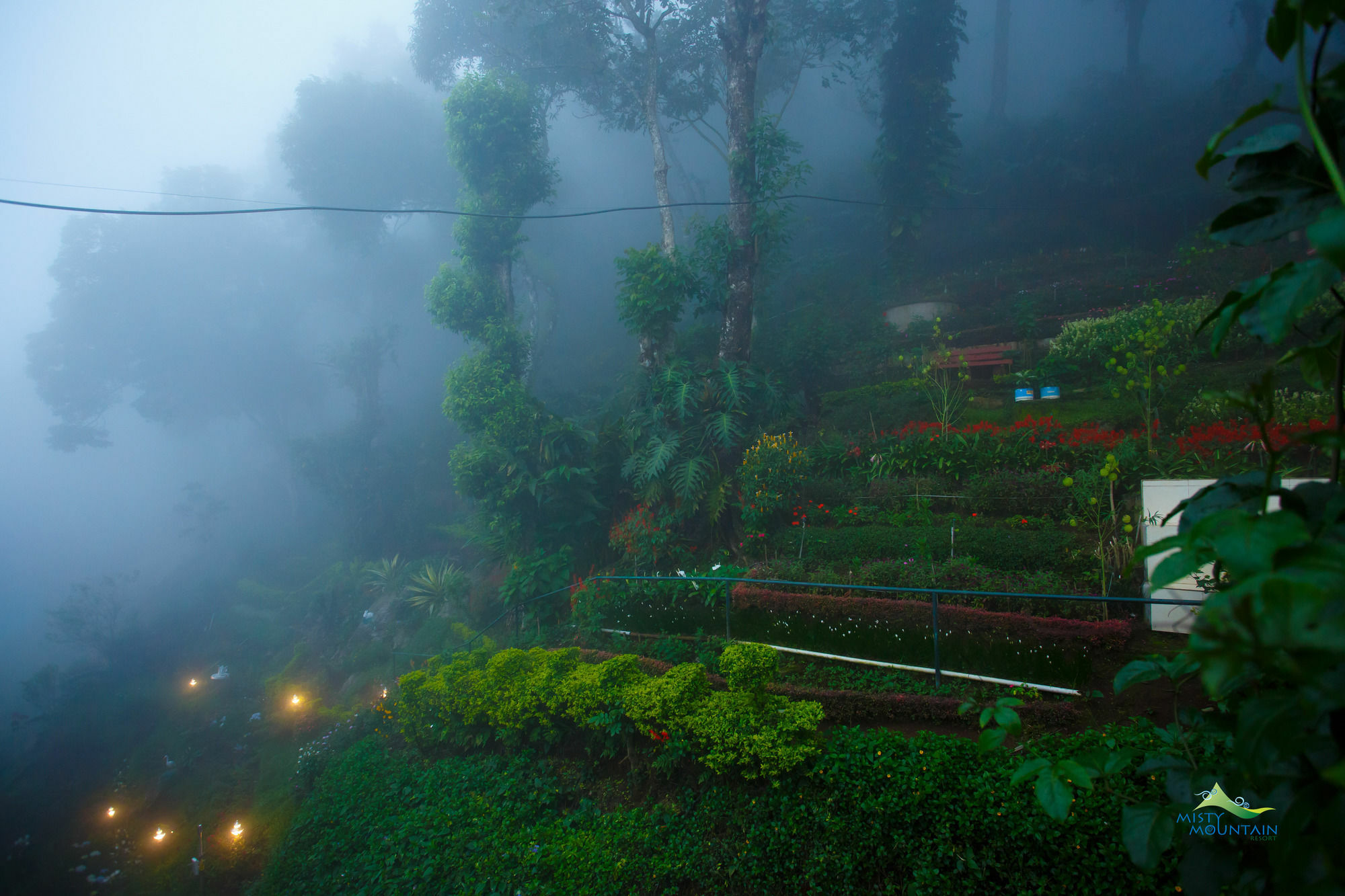 Misty Mountain Resort Munnar Esterno foto