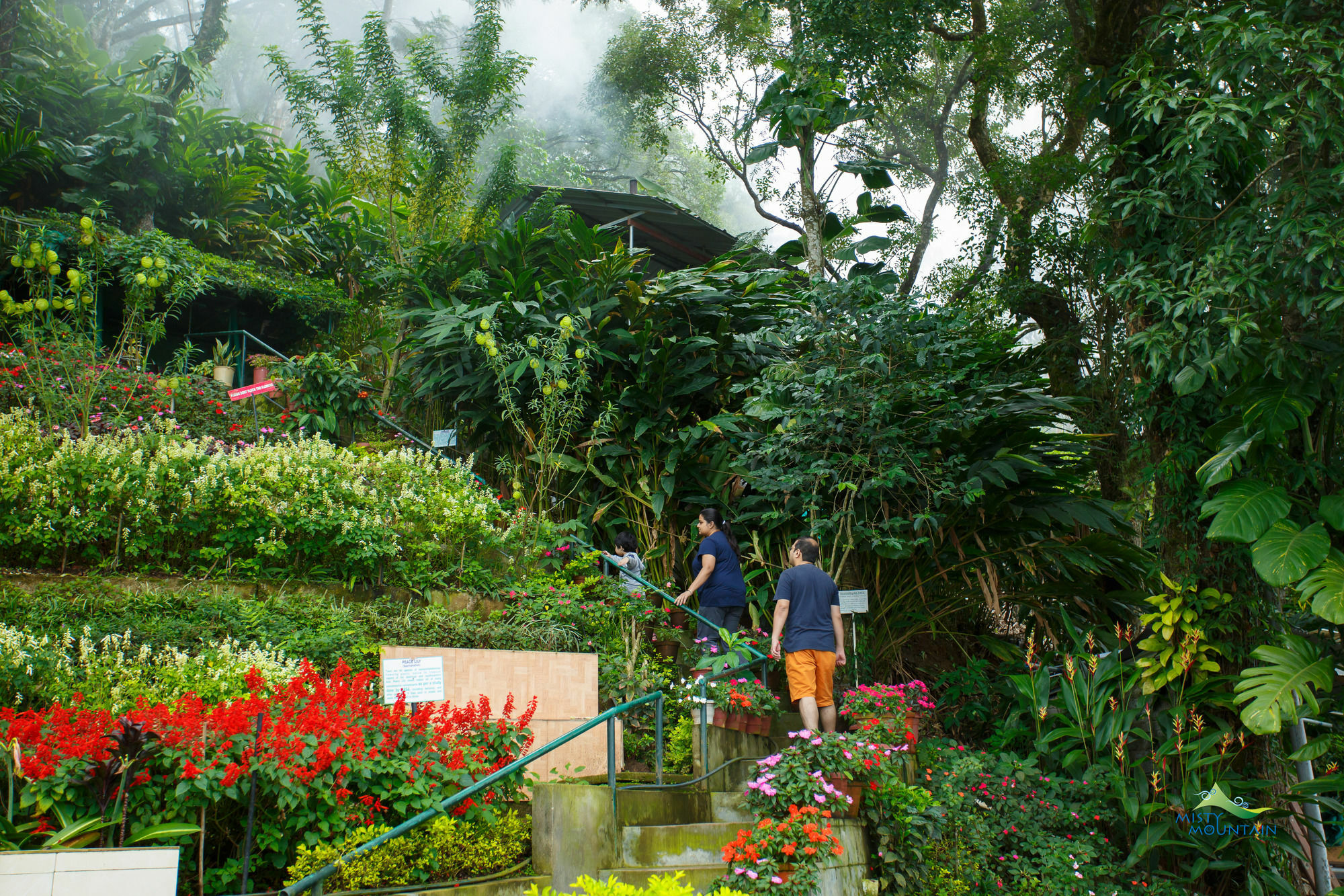 Misty Mountain Resort Munnar Esterno foto