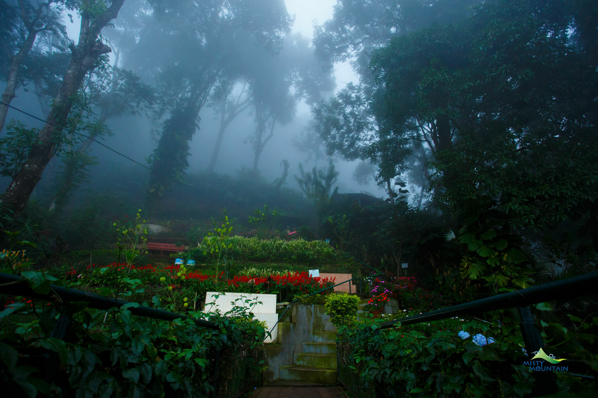 Misty Mountain Resort Munnar Esterno foto