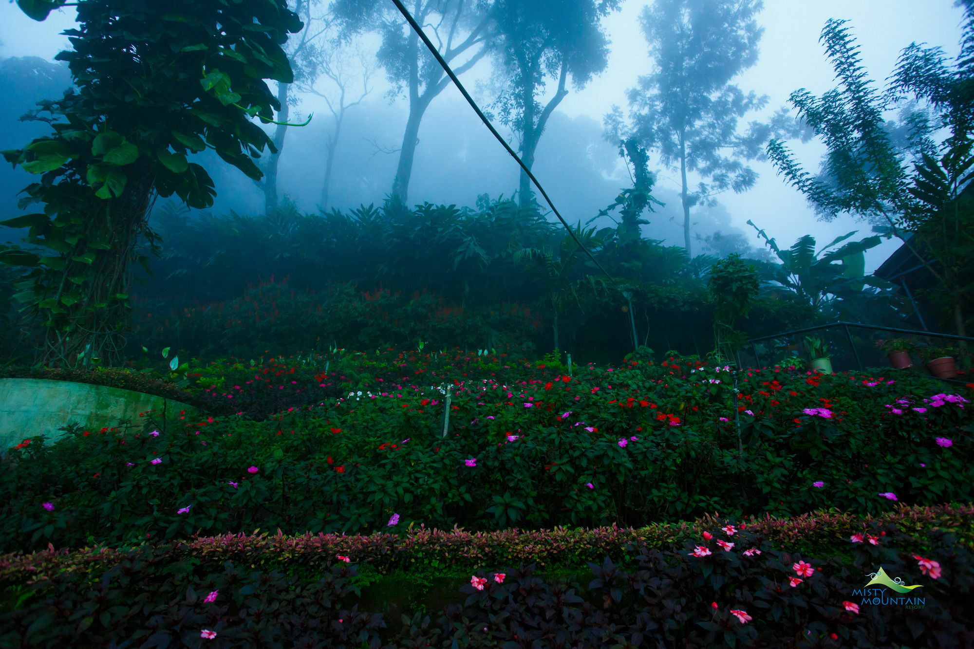 Misty Mountain Resort Munnar Esterno foto